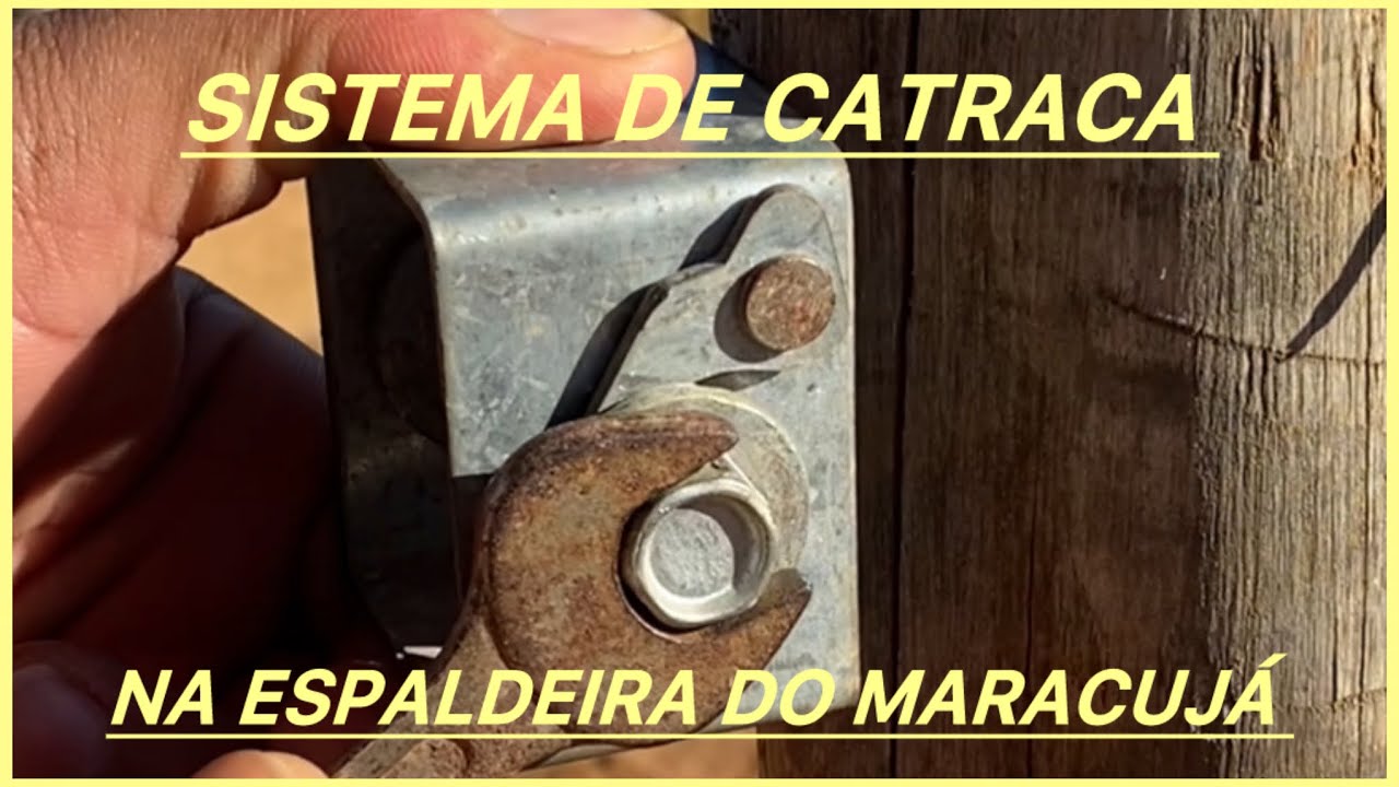 USANDO CATRACA PARA ESTICAR ARAME DA ESPALDEIRA DO MARACUJ&Aacute; 🤠🌱