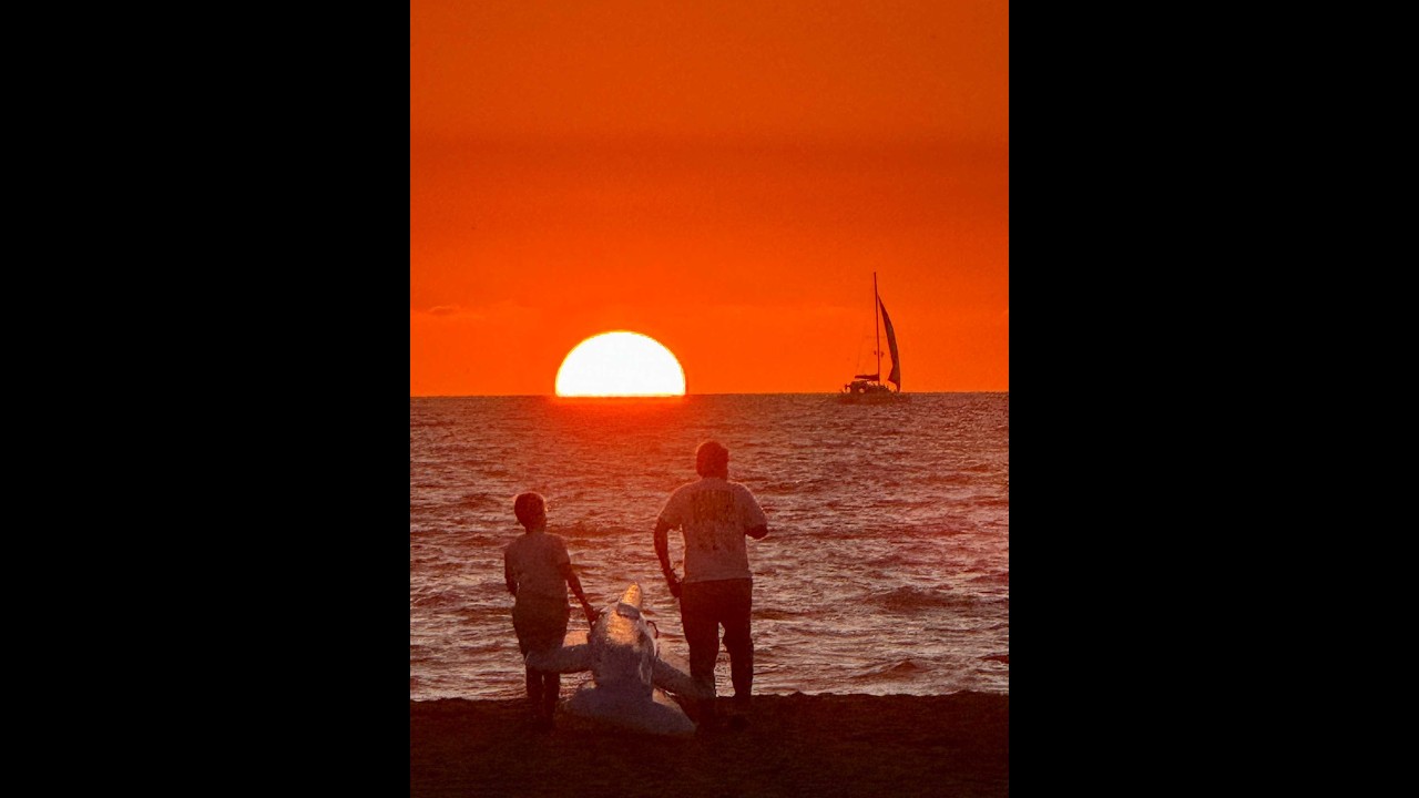 Holiday in Puerto Vallarta = Feb 2026