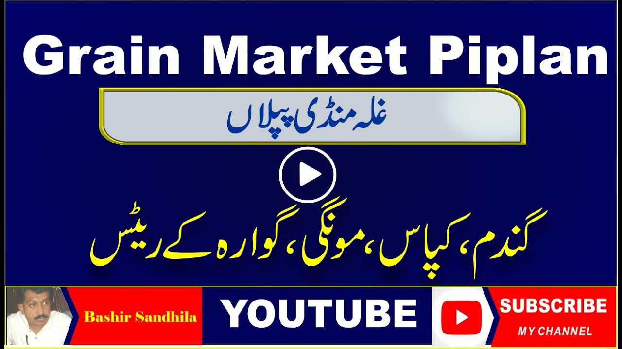Ghala mandi Piplan Updated Rates Urdu / Hindi ll  Bashir Sandhila