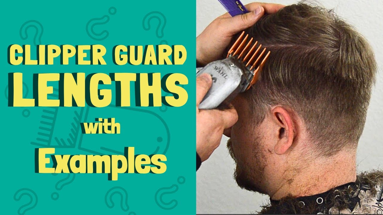 Как выглядят защитные щитки Clipper