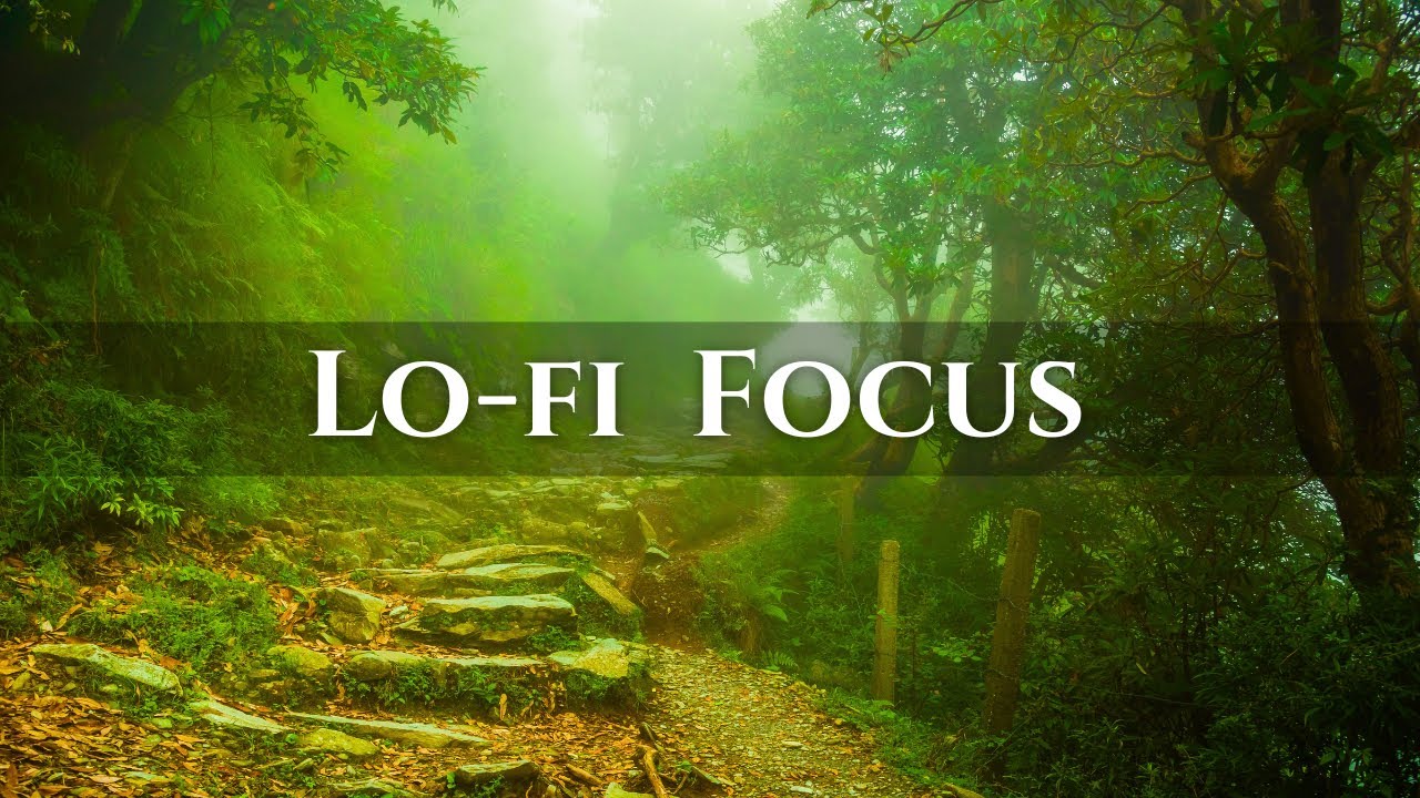 Gentle Lofi Music for Reading, Study & Deep Focus  📖 Calm Music for Work & Concentration