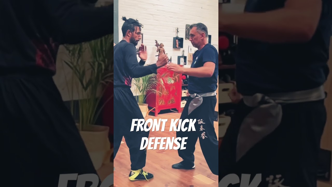 WING CHUN FRONT KICK DEFENSE