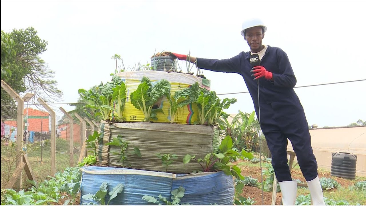 How to Grow Your Own Food in the City
