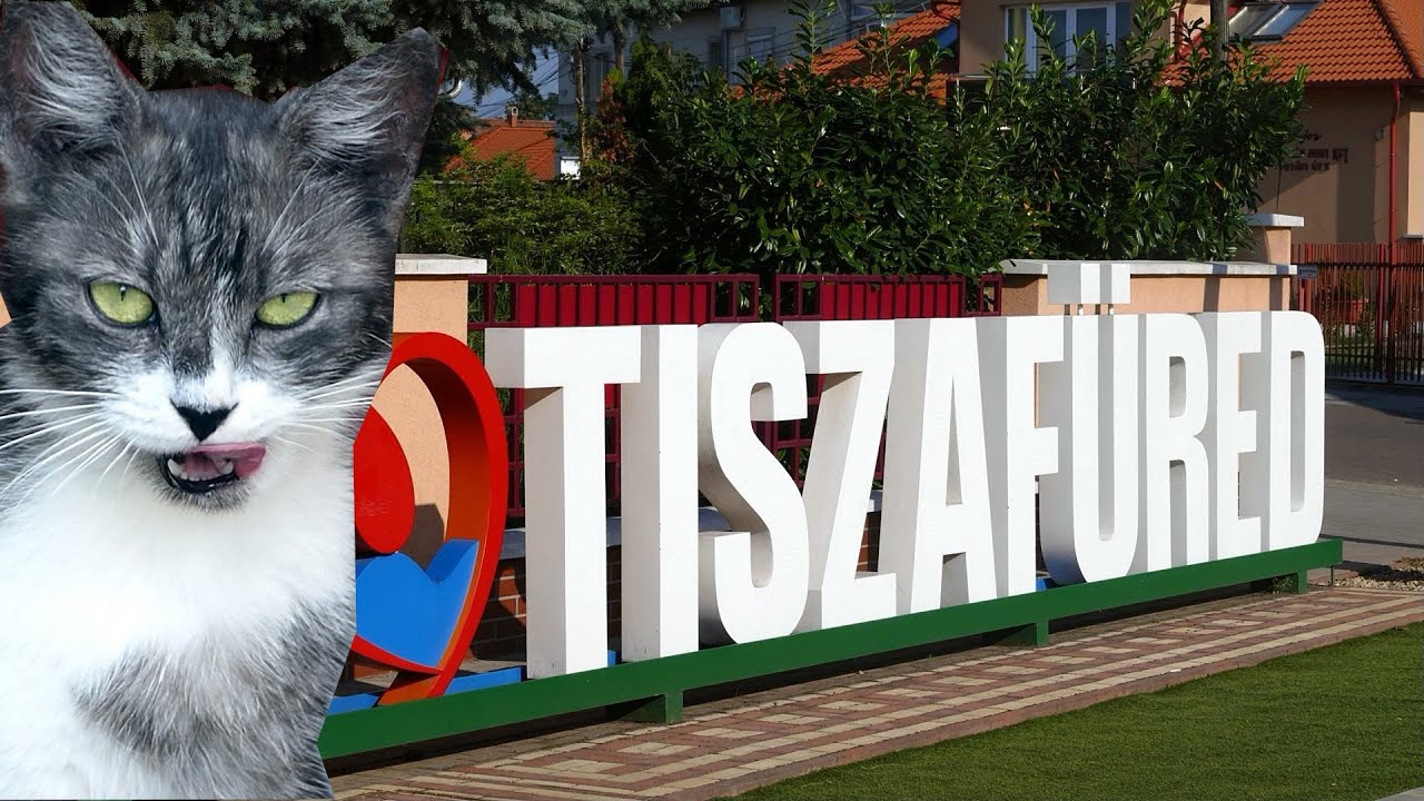 Tiszafüred | Theiss | Naturpark Apuseni