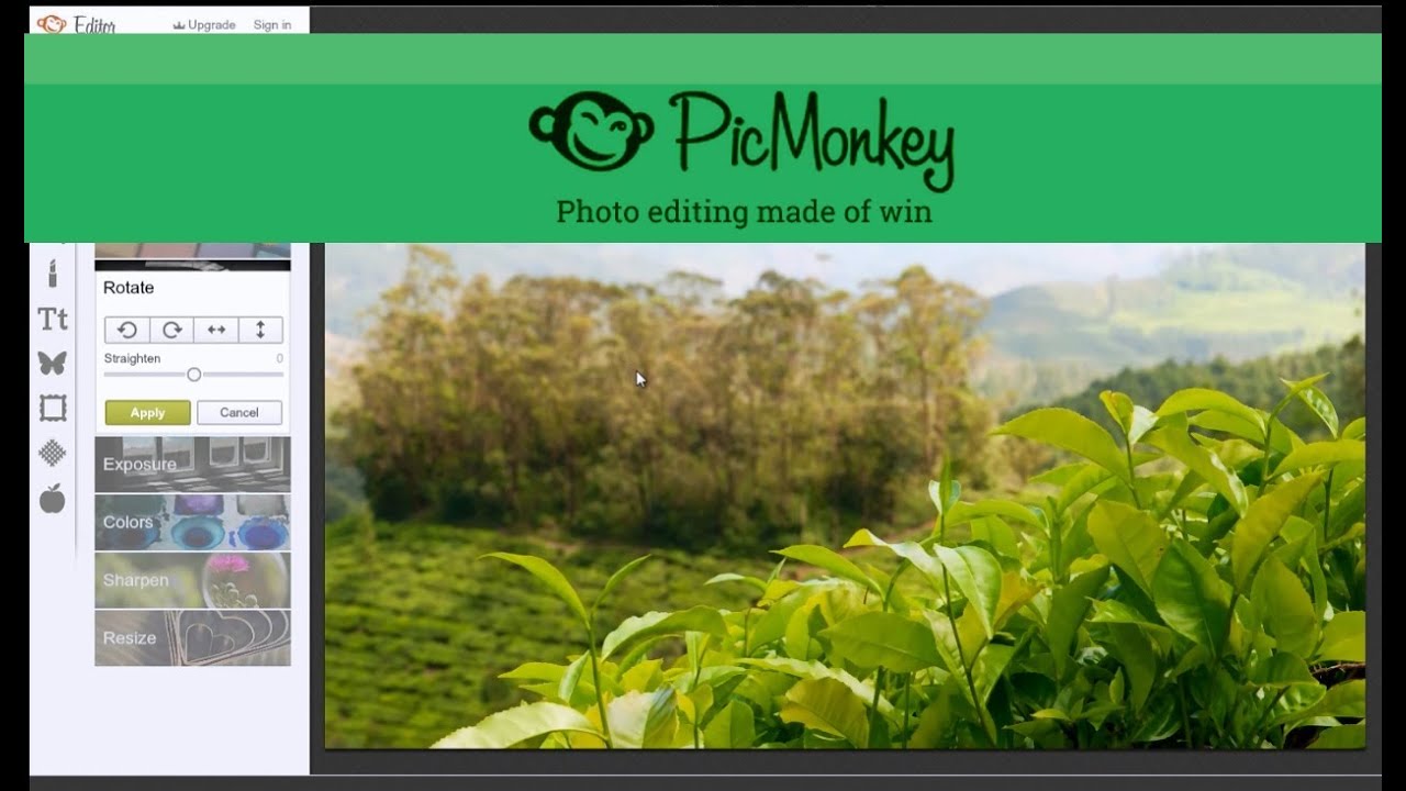 Picmonkey.com - Darmowy program do obróbki zdjęć, czy warto?