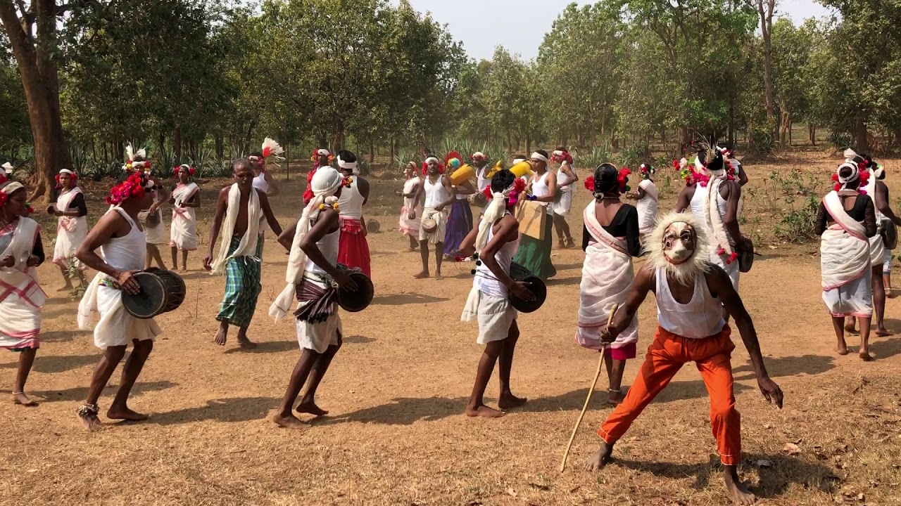 Ghotul Dance or Mandri Dance by Muria Tribe of Bastar, Tribal Dance, Indian Tribal Dance, Dances