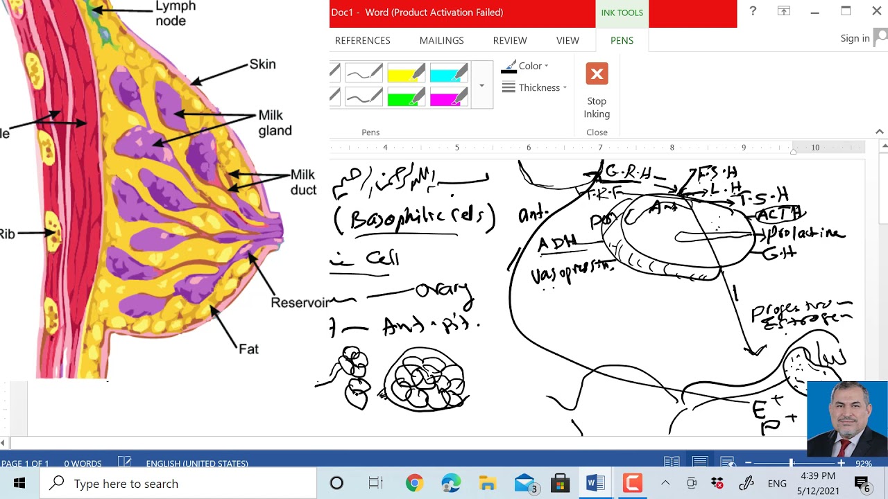 surgery ,, breast physiological aspects د عامر الخزاعي