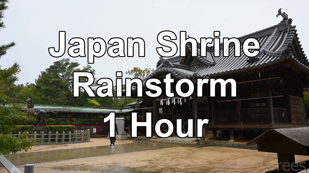 1 Hour Japanese shrine rainstorm heals brainrot - Ambience Sounds White Noise Relax Sleep