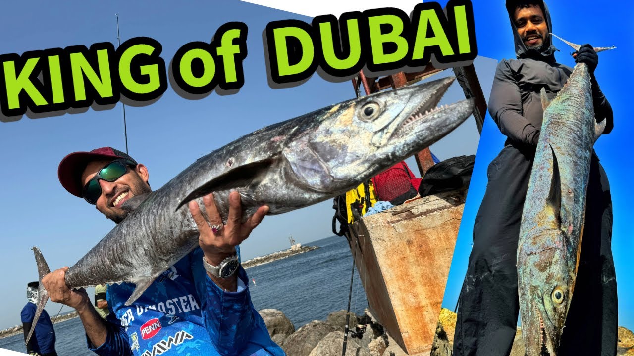 Dubai King !! SHAHI VLOGZ| King Fish Hunting | GIANT FISH HUNT