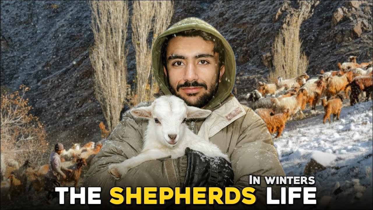 The Unseen Life of Shepherds During Winter in Gilgit-Baltistan