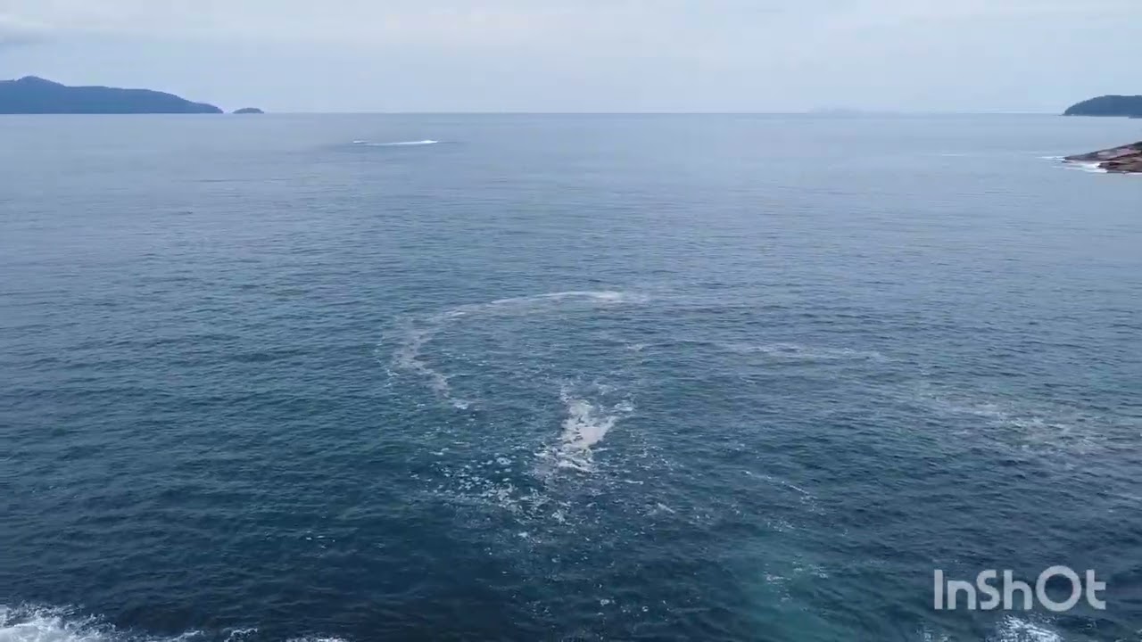 Praia fortaleza uba