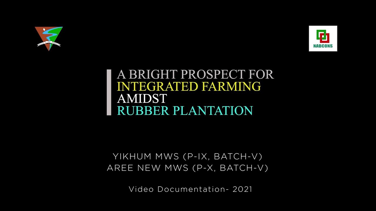 A Bright Prospect for Integrated Farming amidst Rubber Plantation