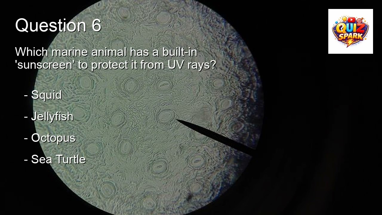 Oceanography & Marine Life