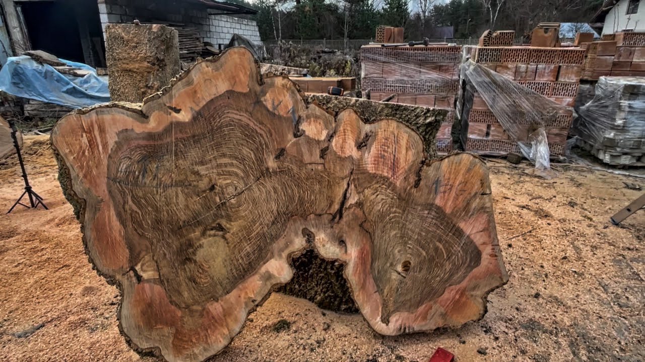 A co powiesz na jesion? How about ash?