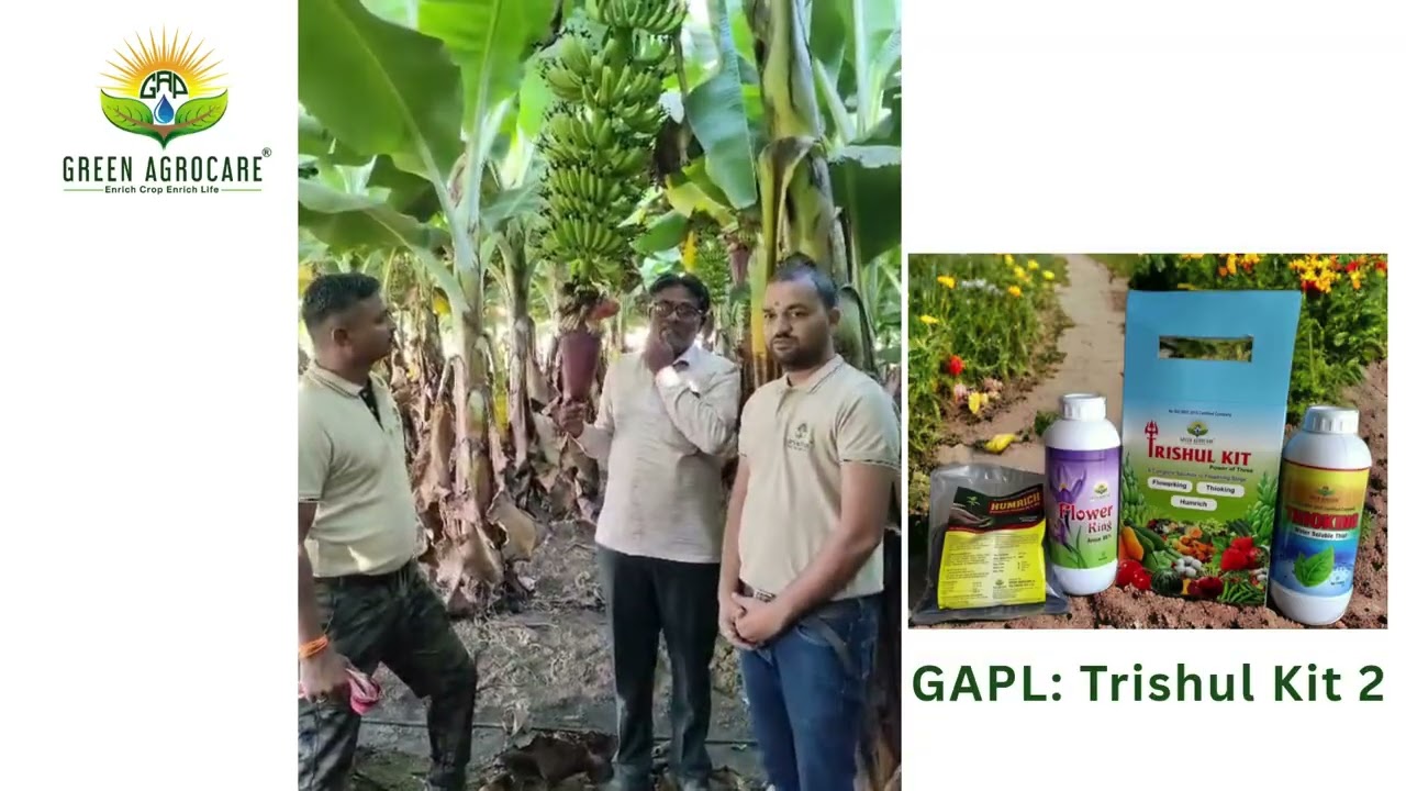 Trishul Kit 2 Narendra & Rahul NNDBR