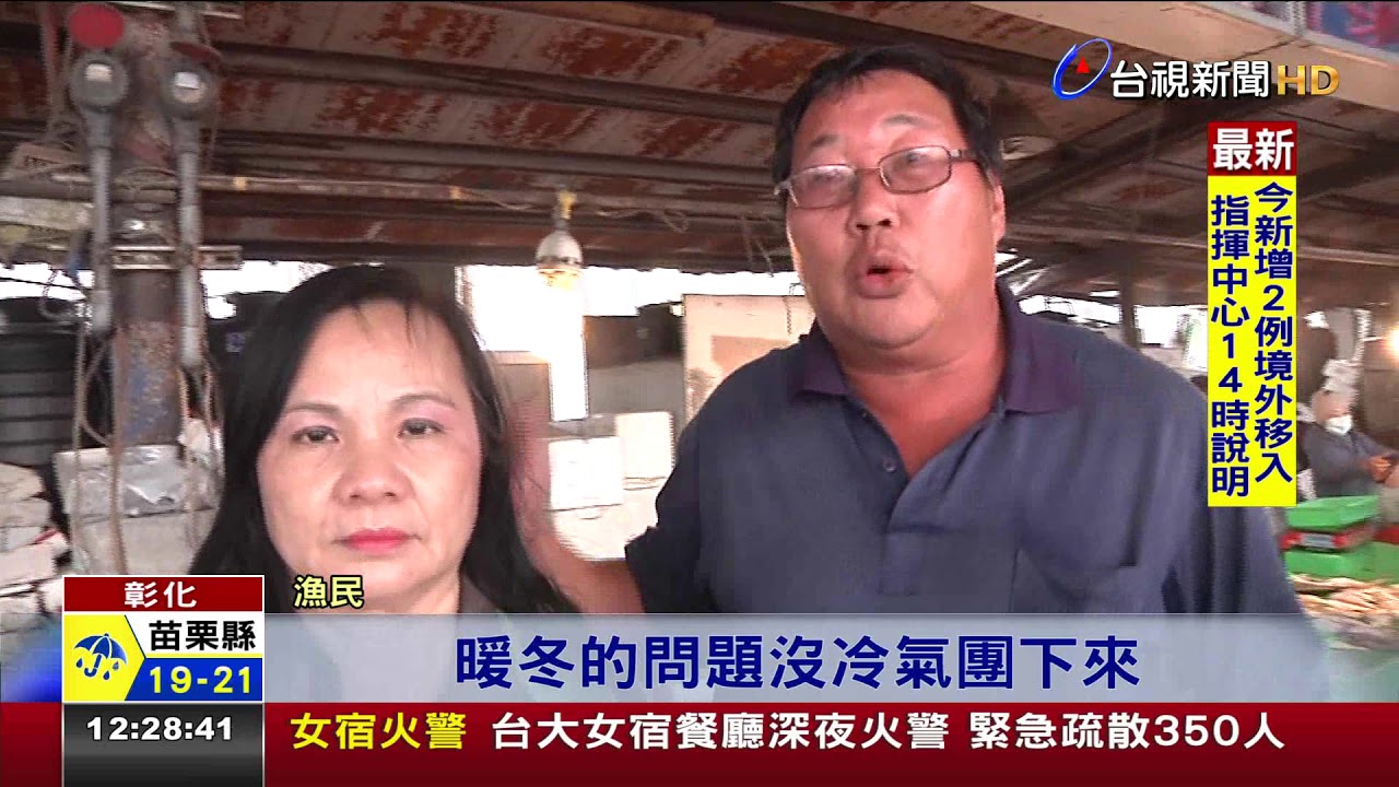 慘!暖冬+大浪只捕百尾烏魚烏魚子價飆