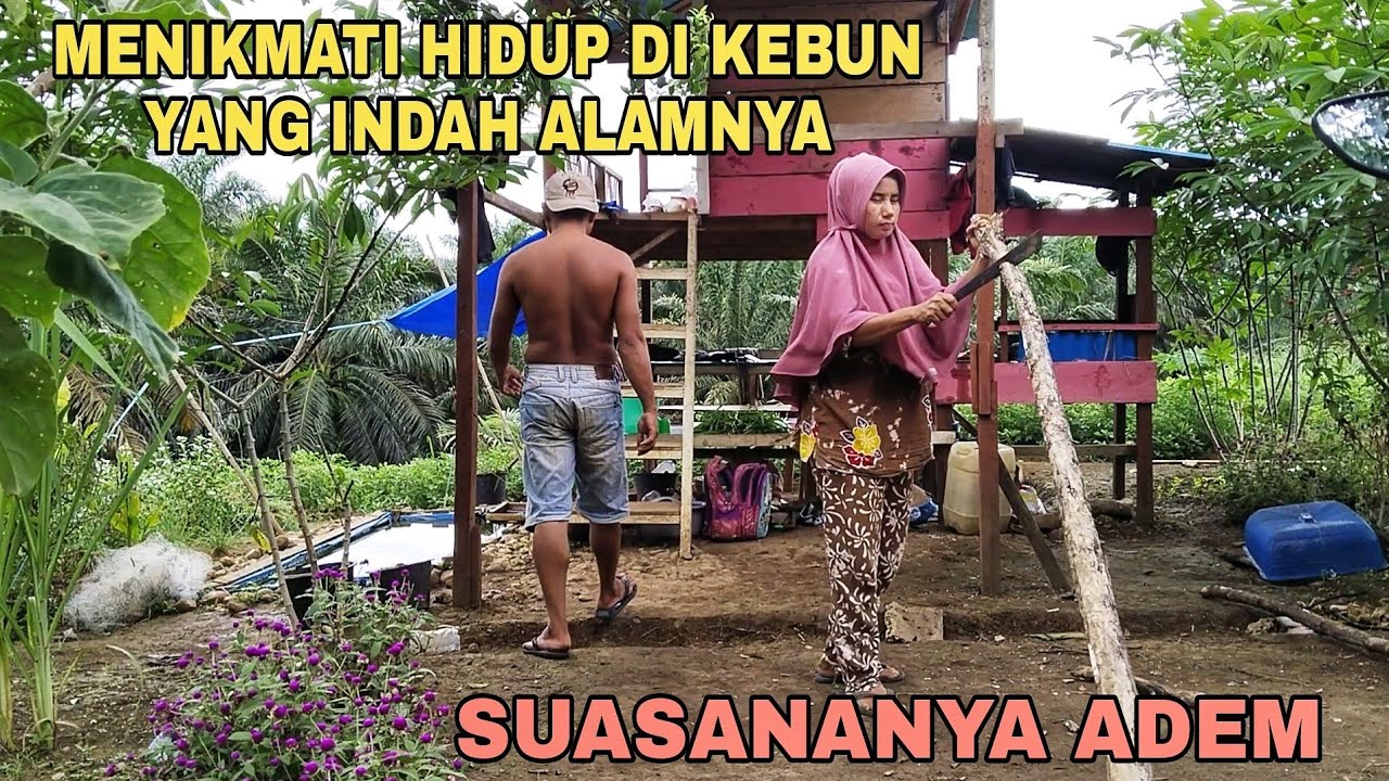 MENIKMATI HIDUP DI KEBUN YANG INDAH ALAMNYA..!! SUASANANYA ADEM,