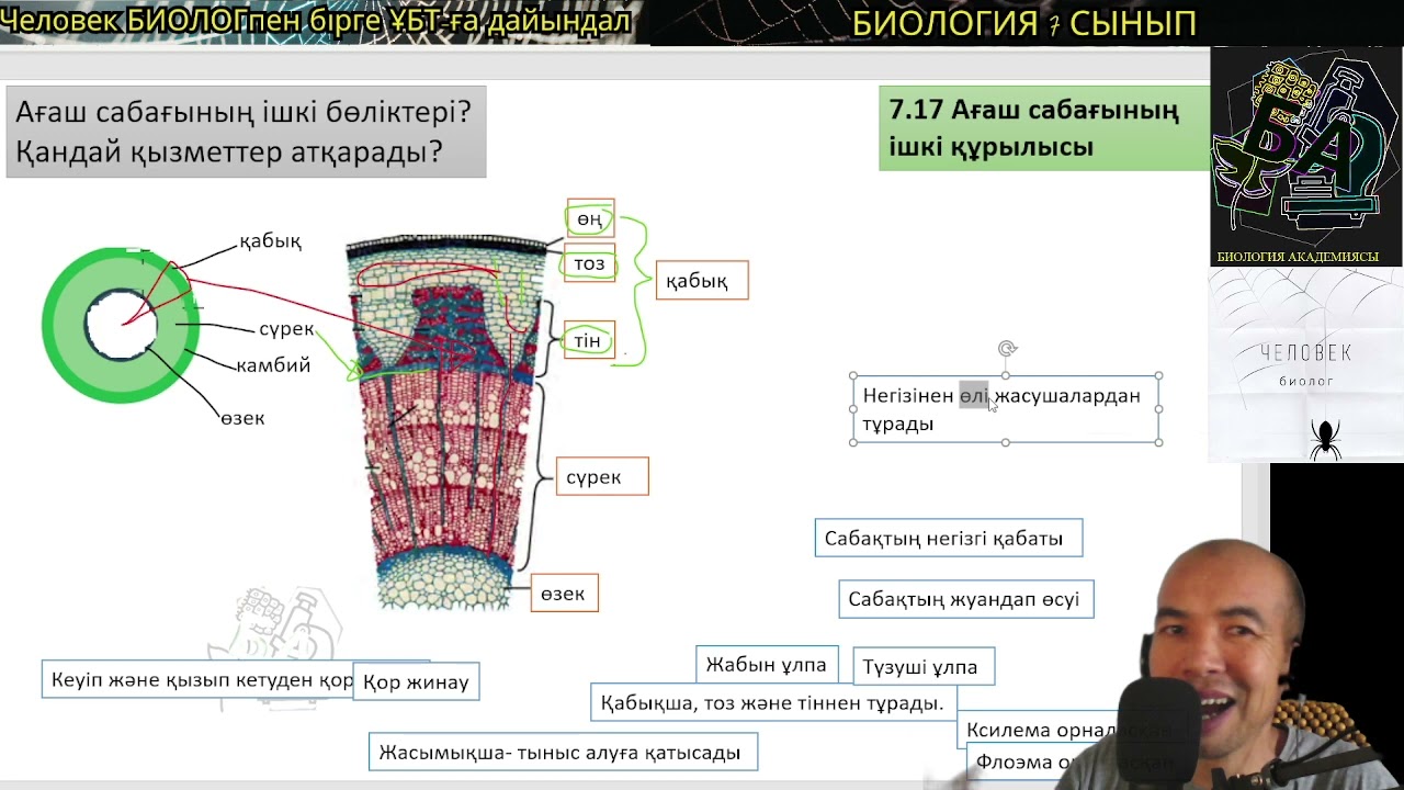 7.17. Ағаш сабағының ішкі құрылысы? #қабық #камбий #сүрек #өзек #биология #7сыныпбиология #ұбтбиолог