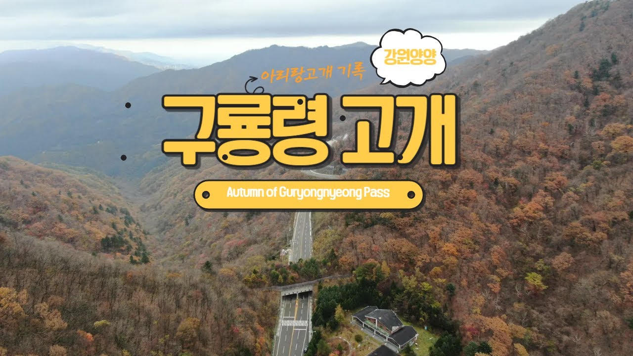 [Drone View]백두대간 구룡령고개 가을풍경 드론영상 1080FHD [Autumn view record of Guryongnyeong Pass by Mavic2 Drone]