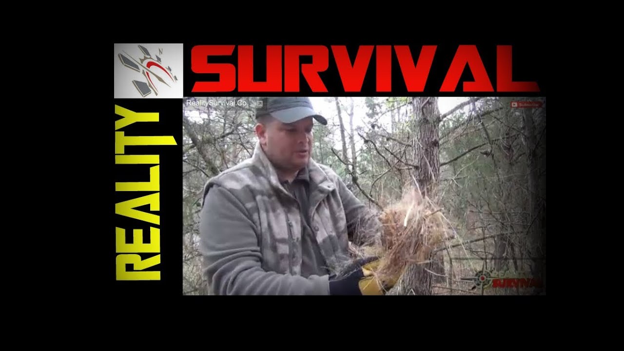 How To Make A Birds Nest For Primitive Fire