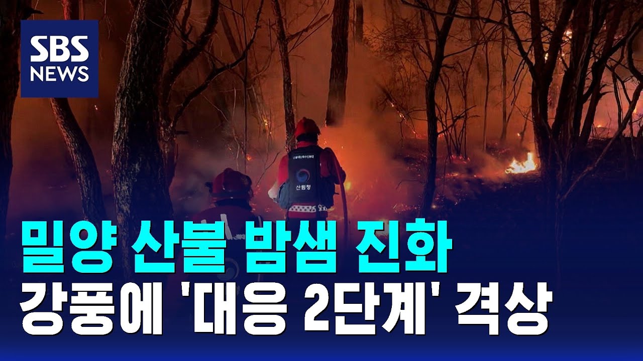 밀양 산불 밤샘 진화…강풍에 '대응 2단계' 격상 / SBS