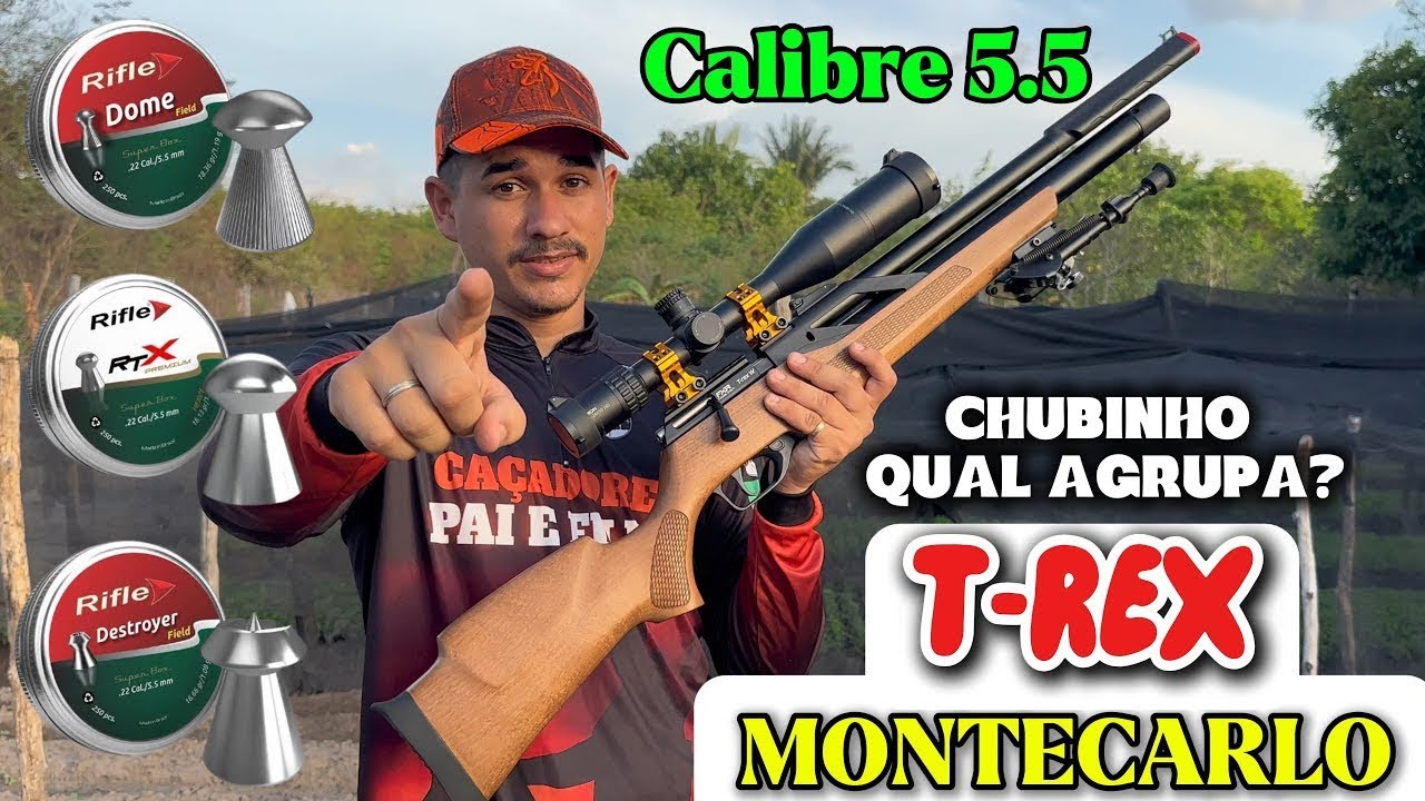 PCP T REX MONTECARLO AGRUPAMENTO CHUBINHOS RIFLE 5.5 25 METROS PRECISÃO E POTÊNCIA ESSA ENTREGA