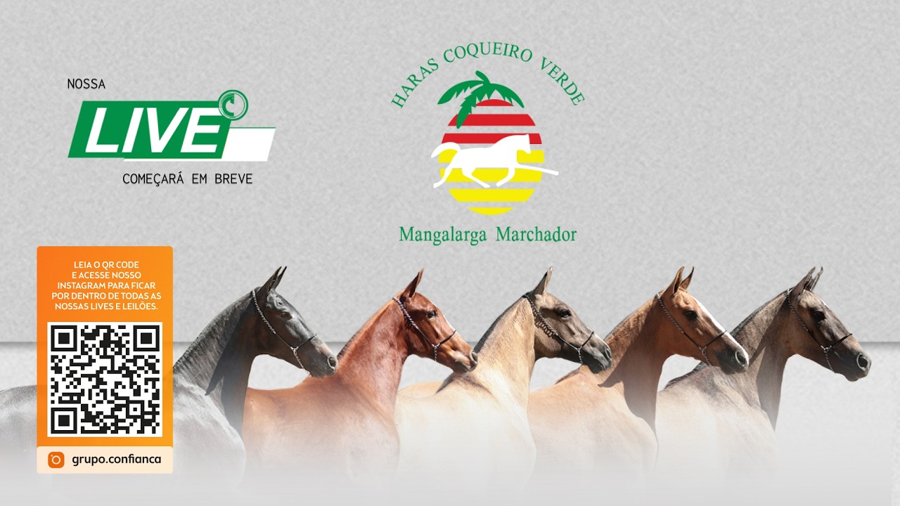 Live de Criação - Haras Coqueiro Verde