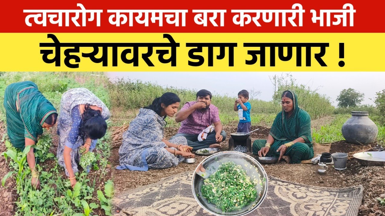 चेहऱ्यावरचे डाग आणि त्वचारोग कायमचा बरा करणारी भाजी | आयुर्वेदिक गुणधर्म असलेली चिलाची भाजी | Recipe