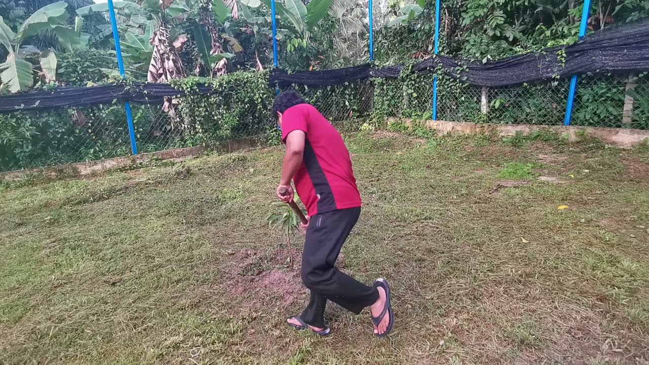20220523 Kebun Danan - 23 MAY 2022