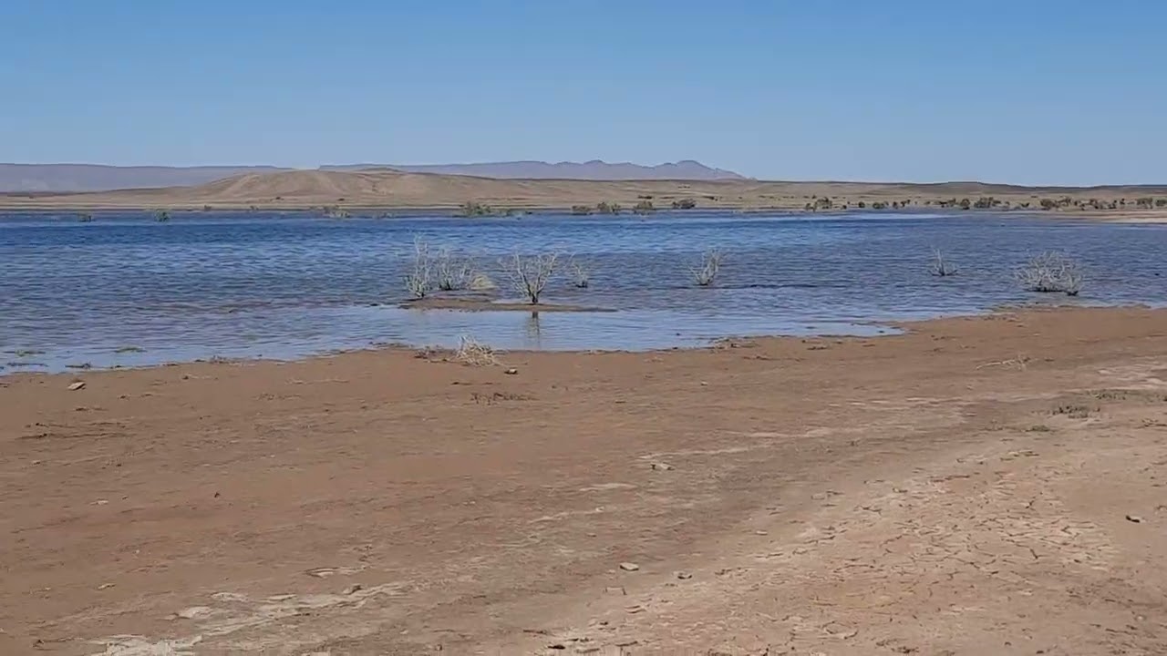 بحيرة مرزوكة 2025