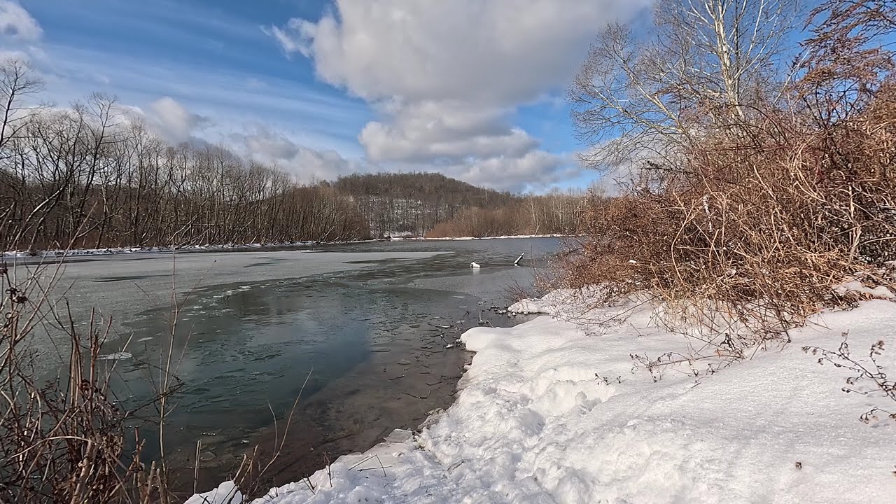 Birds and Ice at Mill Run Reservoir, 20260101 1055: Nature Sounds and Visuals, Calming & Relaxing