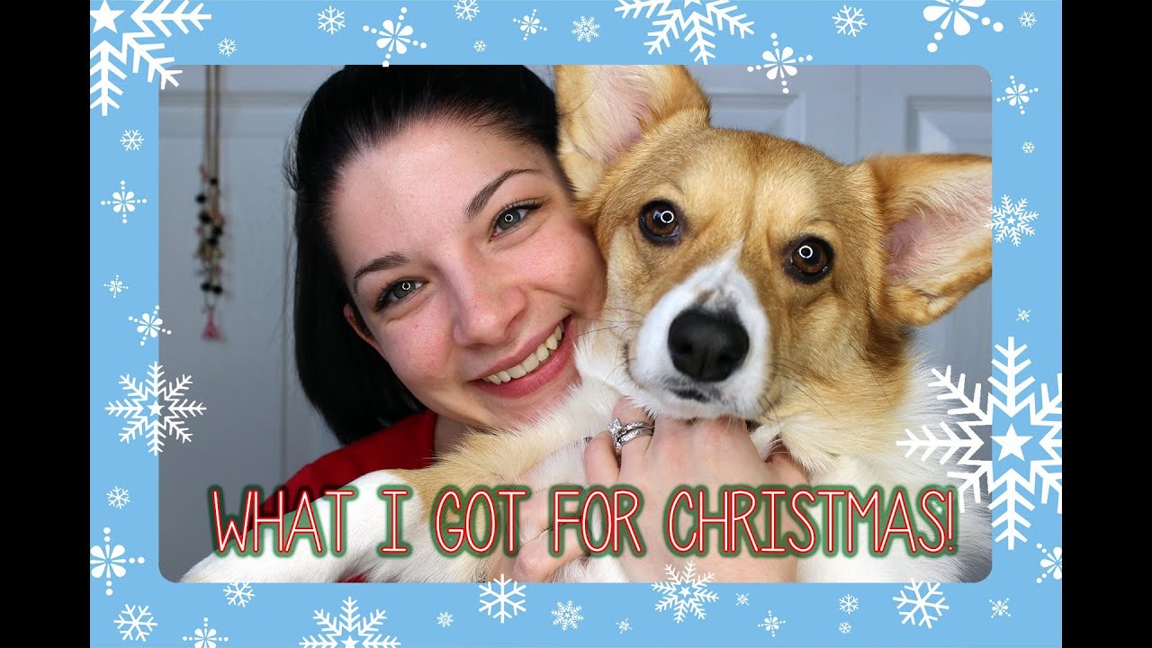 What I Got For Christmas 2013