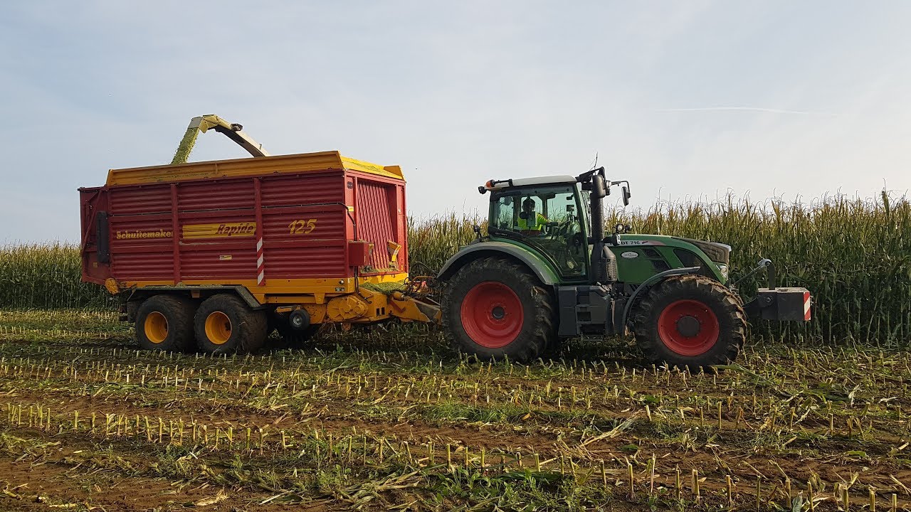 Maisernte 2017 | Fendt | Steyr | Claas | Schuitemaker | Fliegl | Mengele