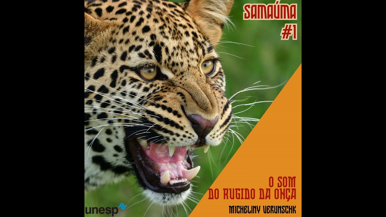 O som do rugido da onça, de Micheliny Verunschk
