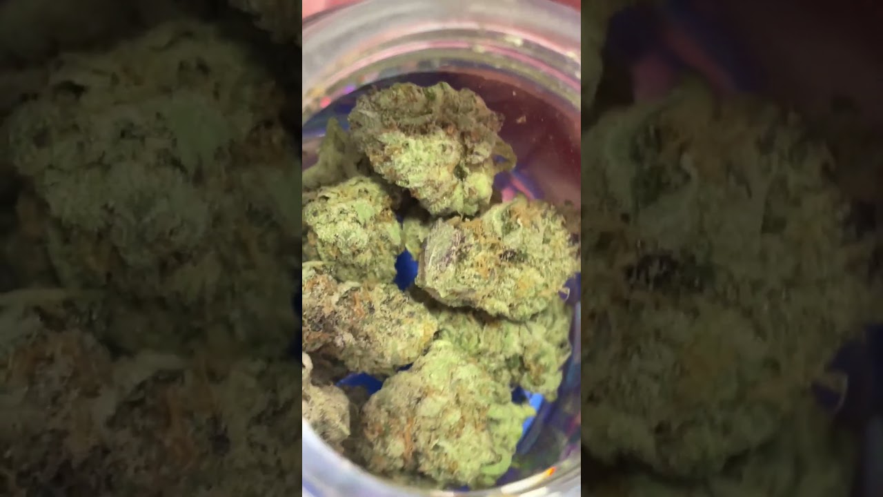 Red Velvet Gary from Lit Farms!! DESSERT-LIKE REVIEW🍓🤤🔥 #cannabis #thca #litfarms #trendingshorts