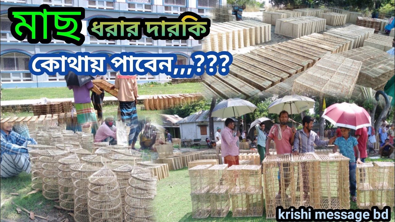 মাছ ধরার দারকি স্বল্পমূল্যেে কোথায় পাবেন|জানুন বিস্তারিত|