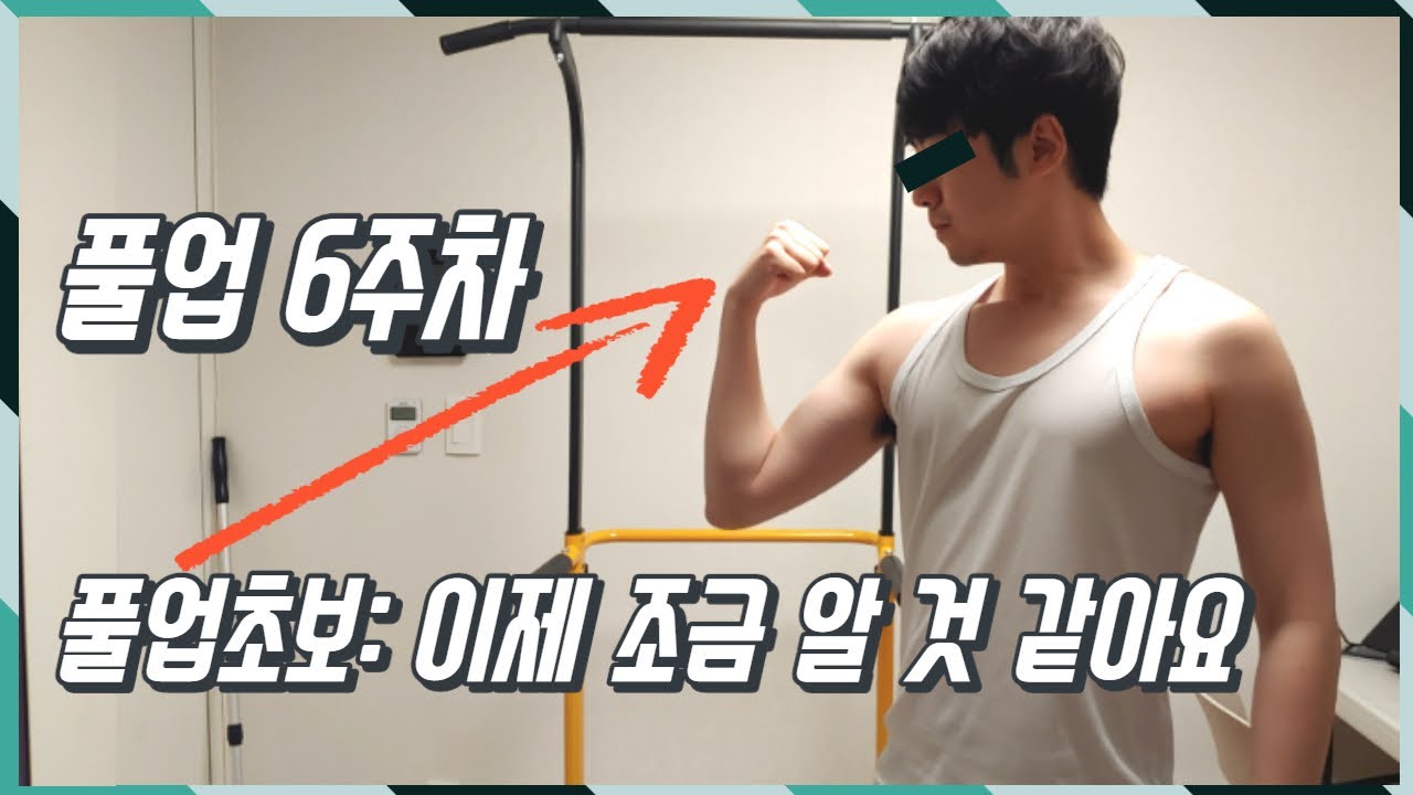 팔힘이 아닌 등힘으로 풀업하기 | 6주차