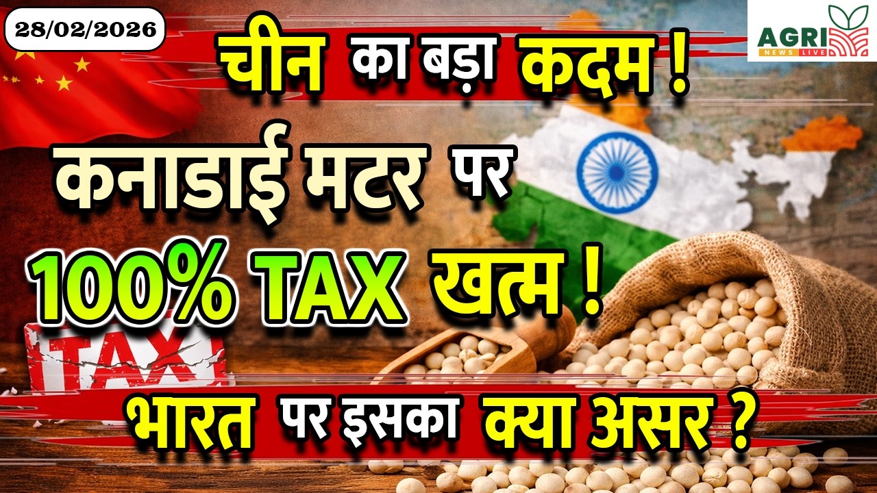 China-Canada फैसले का भारत पर असर? | Matar Market Update