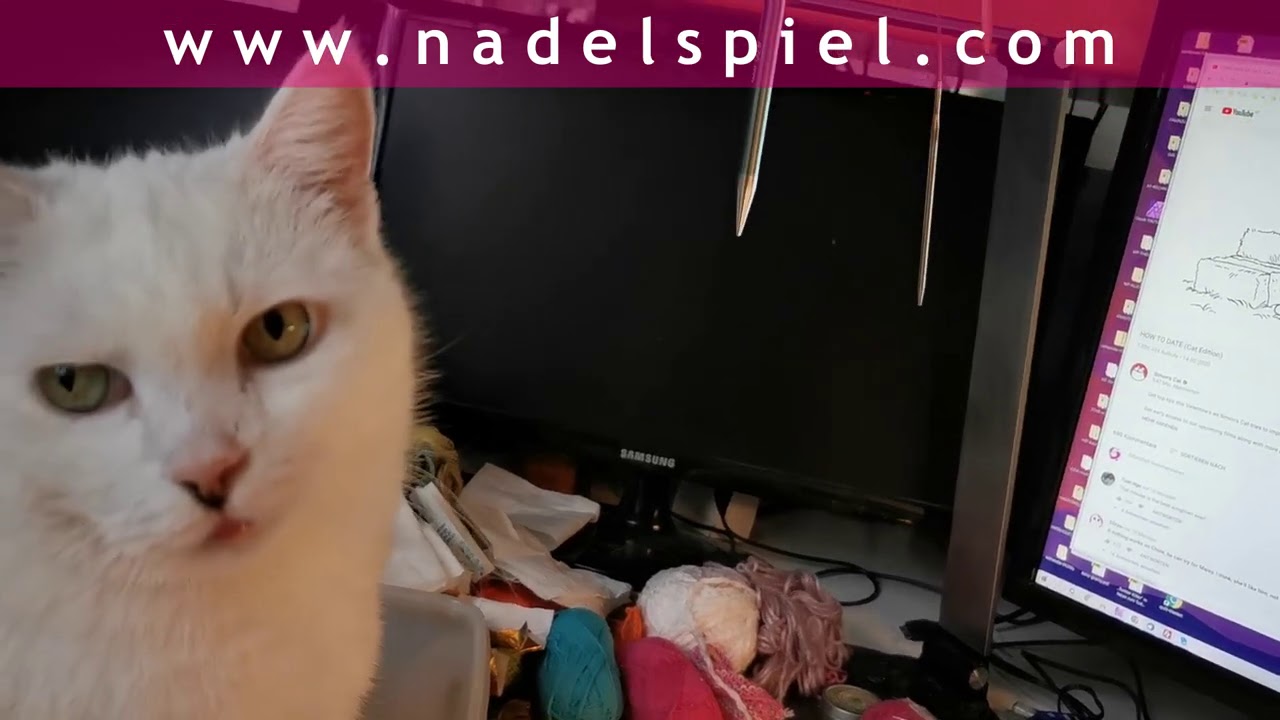 eliZZZa * Frühstücksfernsehen mit Lucy