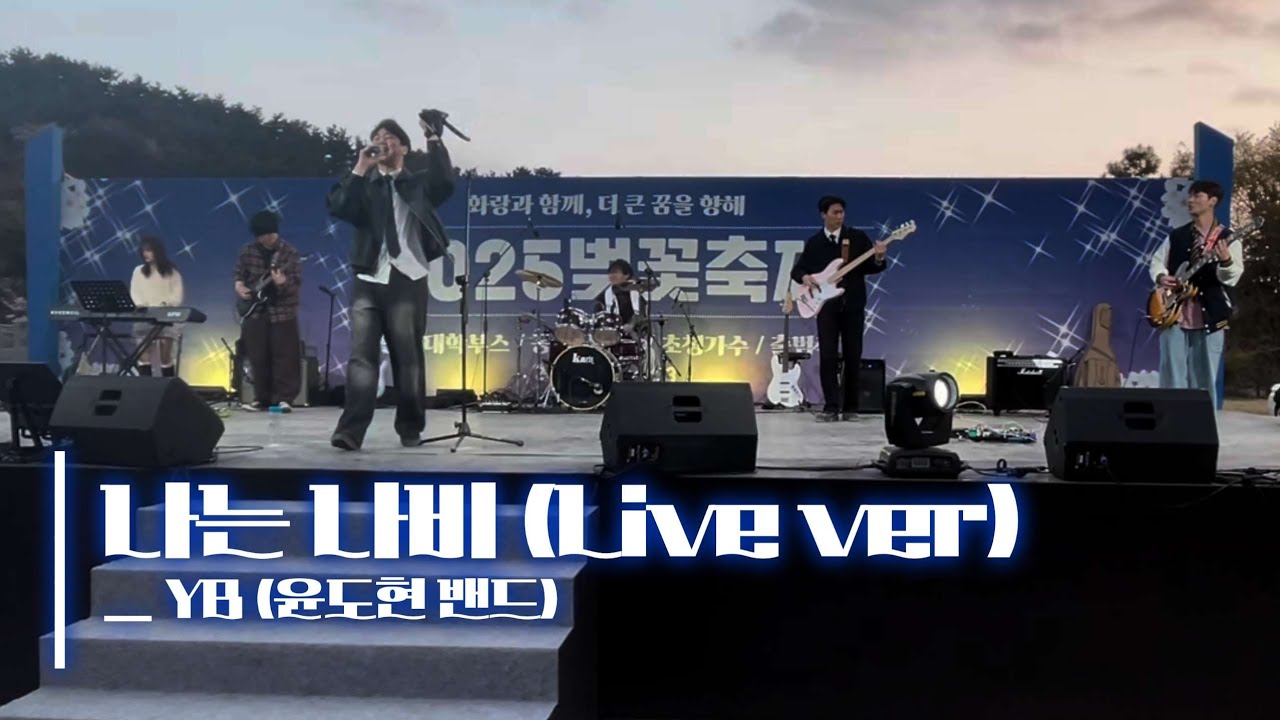 🌸𝟚𝟘𝟚𝟝 벚꽃 축제🌸 |  나는 나비_YB (윤도현 밴드) cover by ʜᴀɴɪʙʏ  | Band ver.