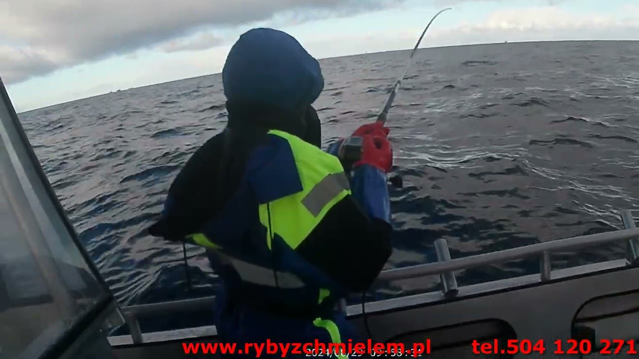 Soroya marzec 2025r. Ryby z Chmielem.