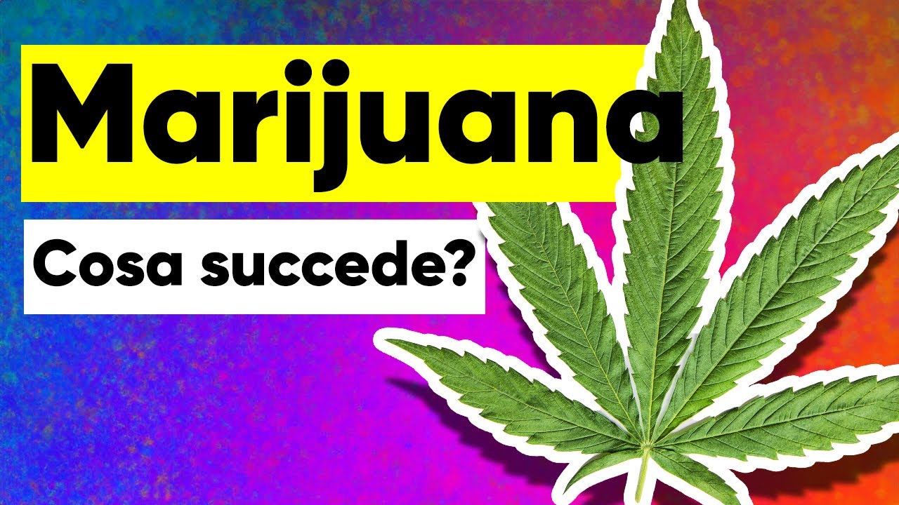 Gli effetti della Marijuana sul CERVELLO