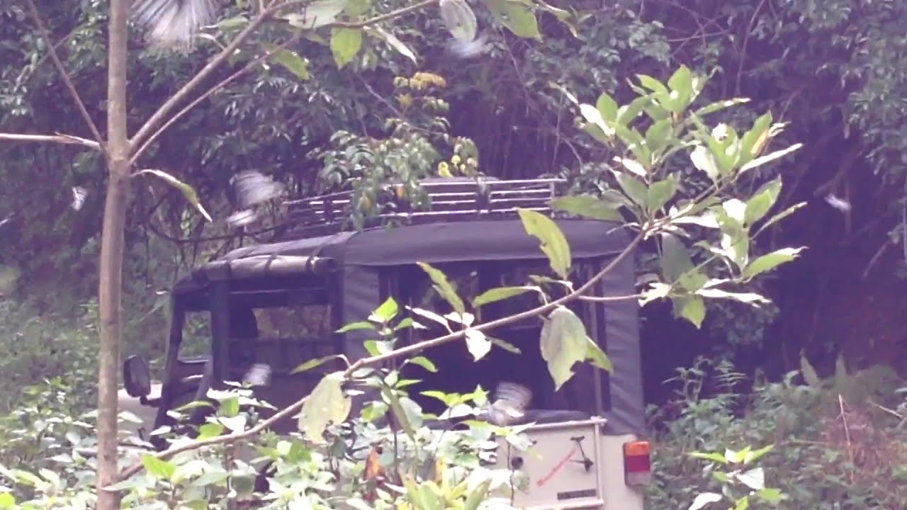 Butterfly Kerala# Silent Valley # Rain forest India