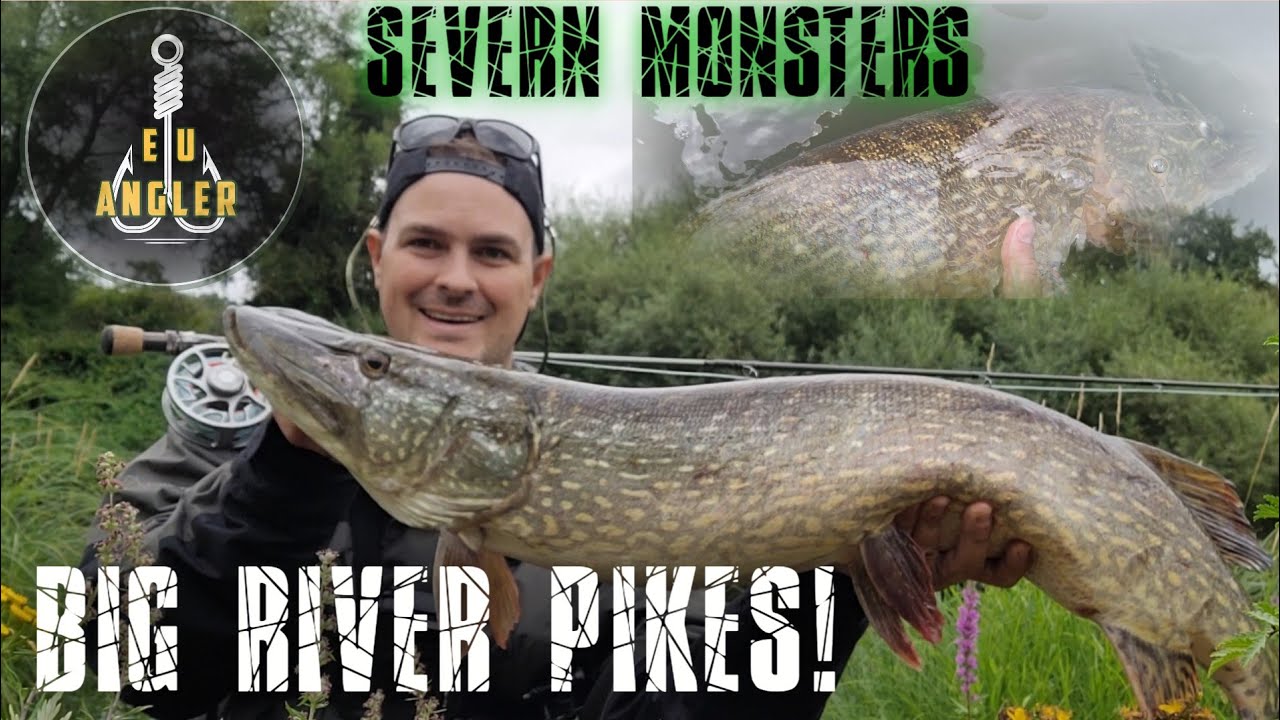 SEVERN MONSTER / river pike Fly Fishing  