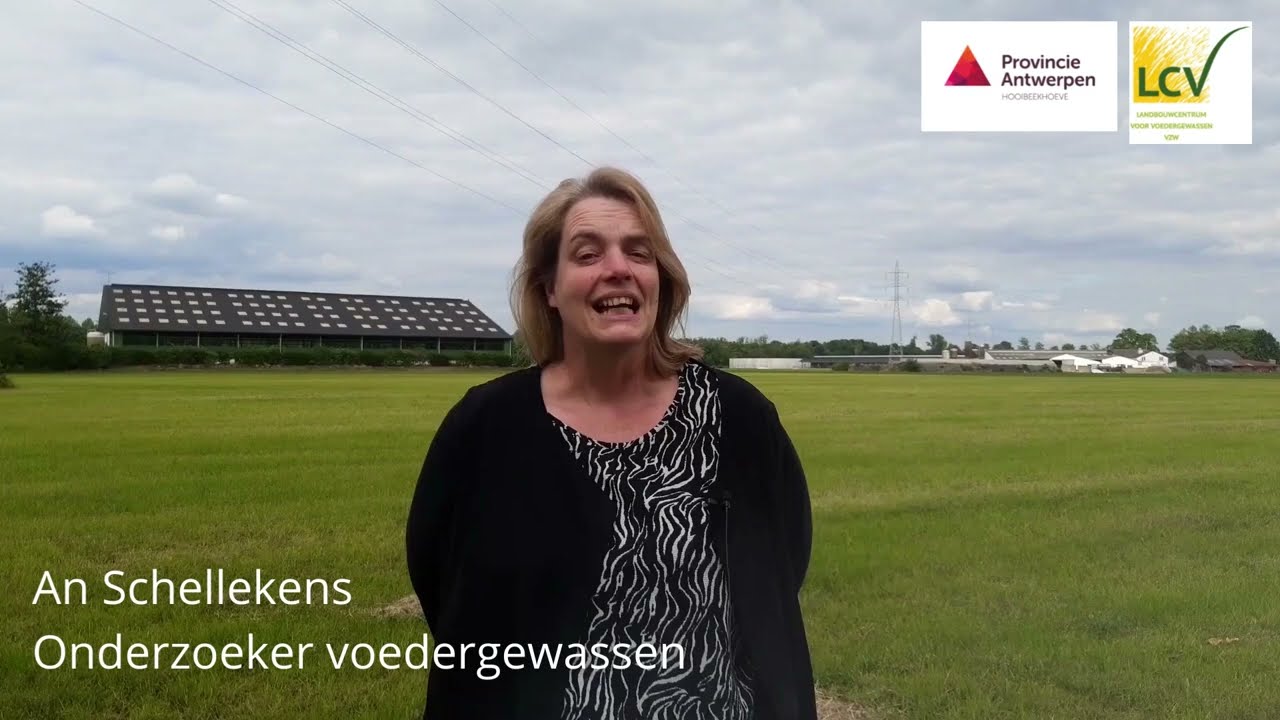 Wandeling Jubileum Hooibeekhoeve - Gras