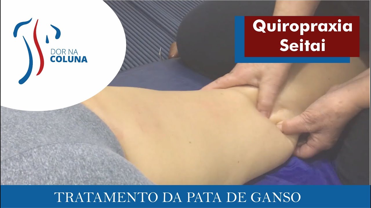 Curso Seitai Manual e Seitai dos Martelos - Pata de Ganso