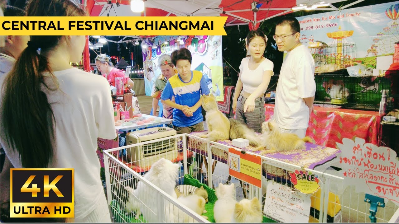 Central Festival Chiangmai Thailand Walking Tour 【4K, 60fps】Christmas 2024 清邁 - テーサバーンナコーン・チエンマイ