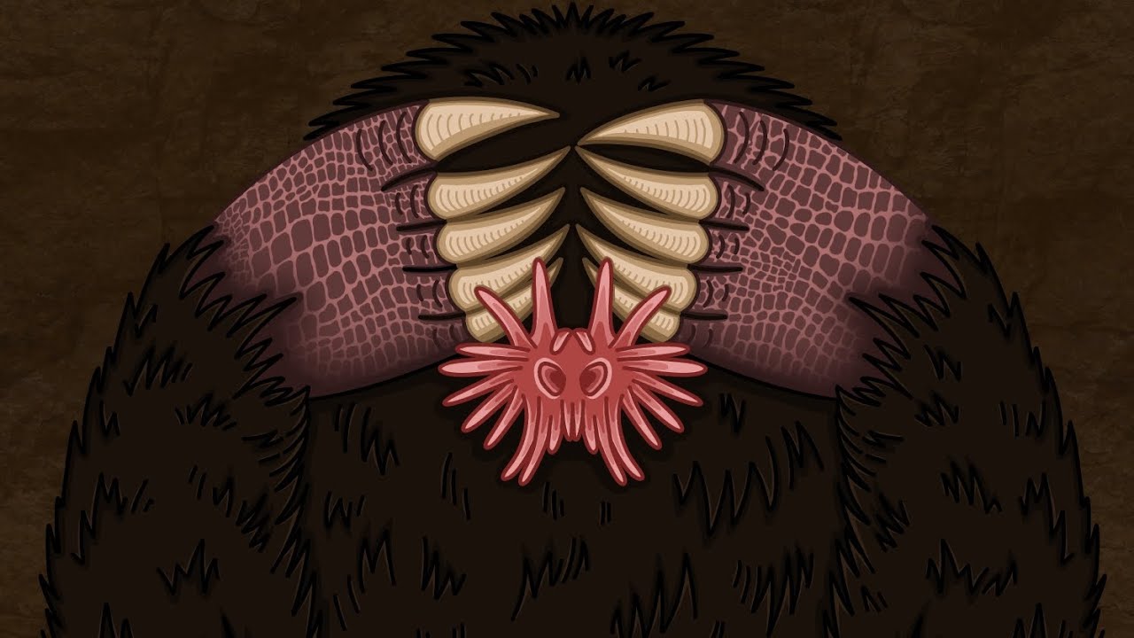 Sei nicht blind - Denno Di ( Lyric Video )