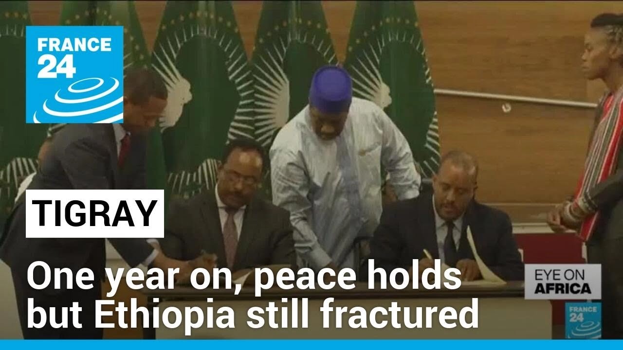 One year on, peace holds in Tigray but Ethiopia still fractured &bull; FRANCE 24 English