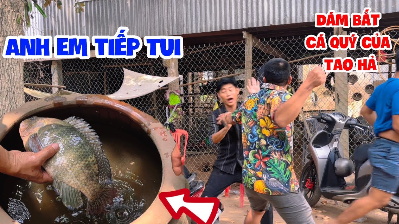 Hoài Phong Dám Gan Bắt Cá Quý 5 Năm Của Chú 2 Làm Thịt | HoàiPhong TV